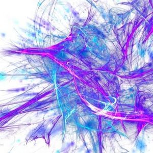 Meet your Posher, Kelley